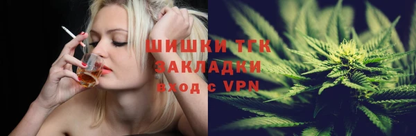 стаф Алексин
