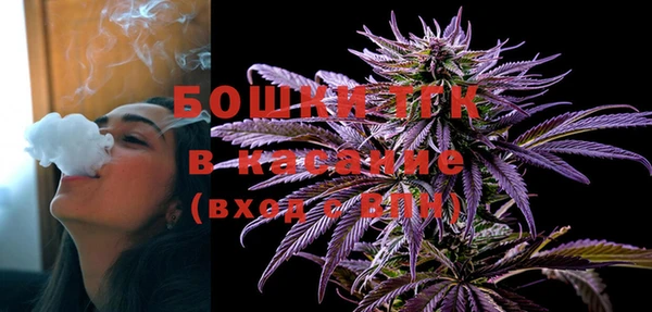 стаф Алексин