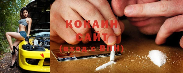 стаф Алексин
