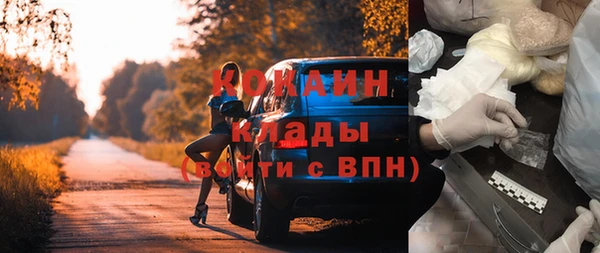 стаф Алексин