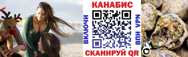 Конопля гибрид  Болгар 